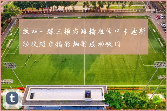 扳回一球三镇右路精准传中卡迪斯助攻绍尔精彩抽射成功破门