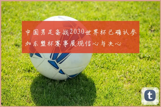 中国男足备战2030世界杯已确认参加东盟杯赛事展现信心与决心
